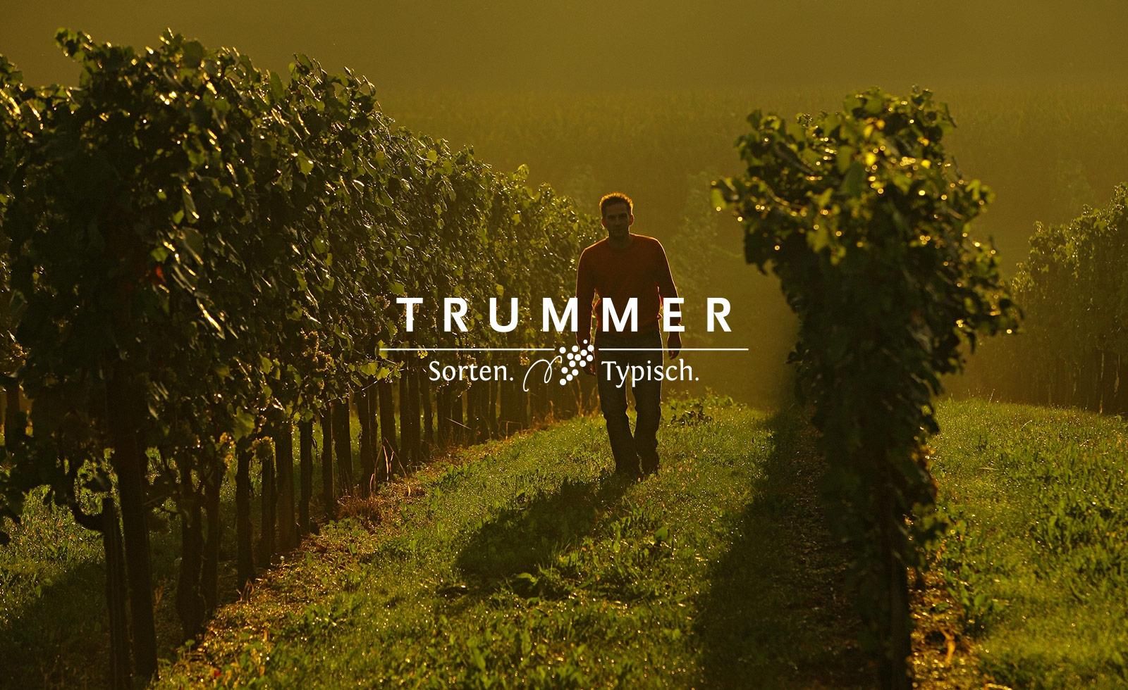 Weingut Trummer - Logo